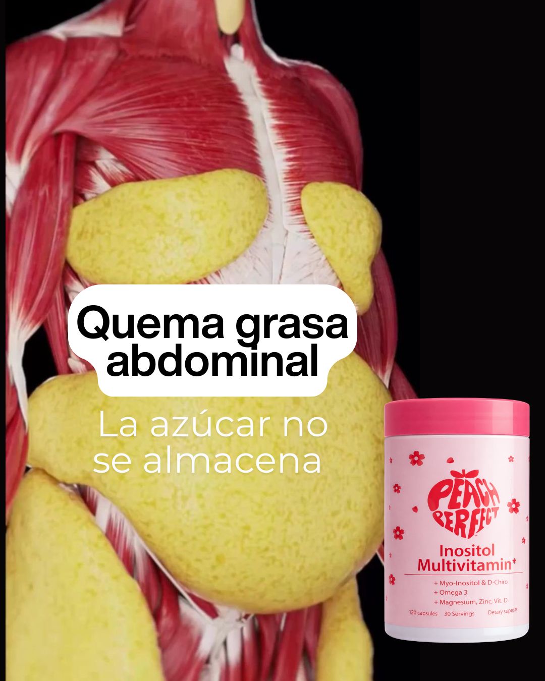PECH PERFECT INUSITOL MULTIVITAMIN FEMENINO