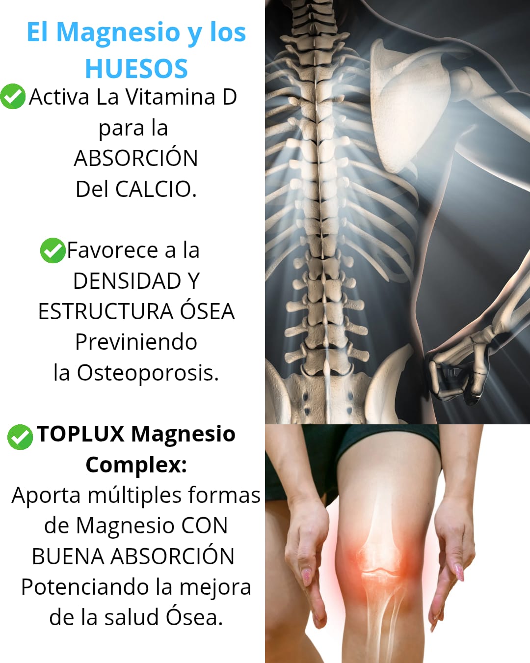 MAGNESIUM COMPLEX - HUESOS, SUEÑO, DIGESTIÓN SANOS +ELEVACION SISTEMA INMUNE