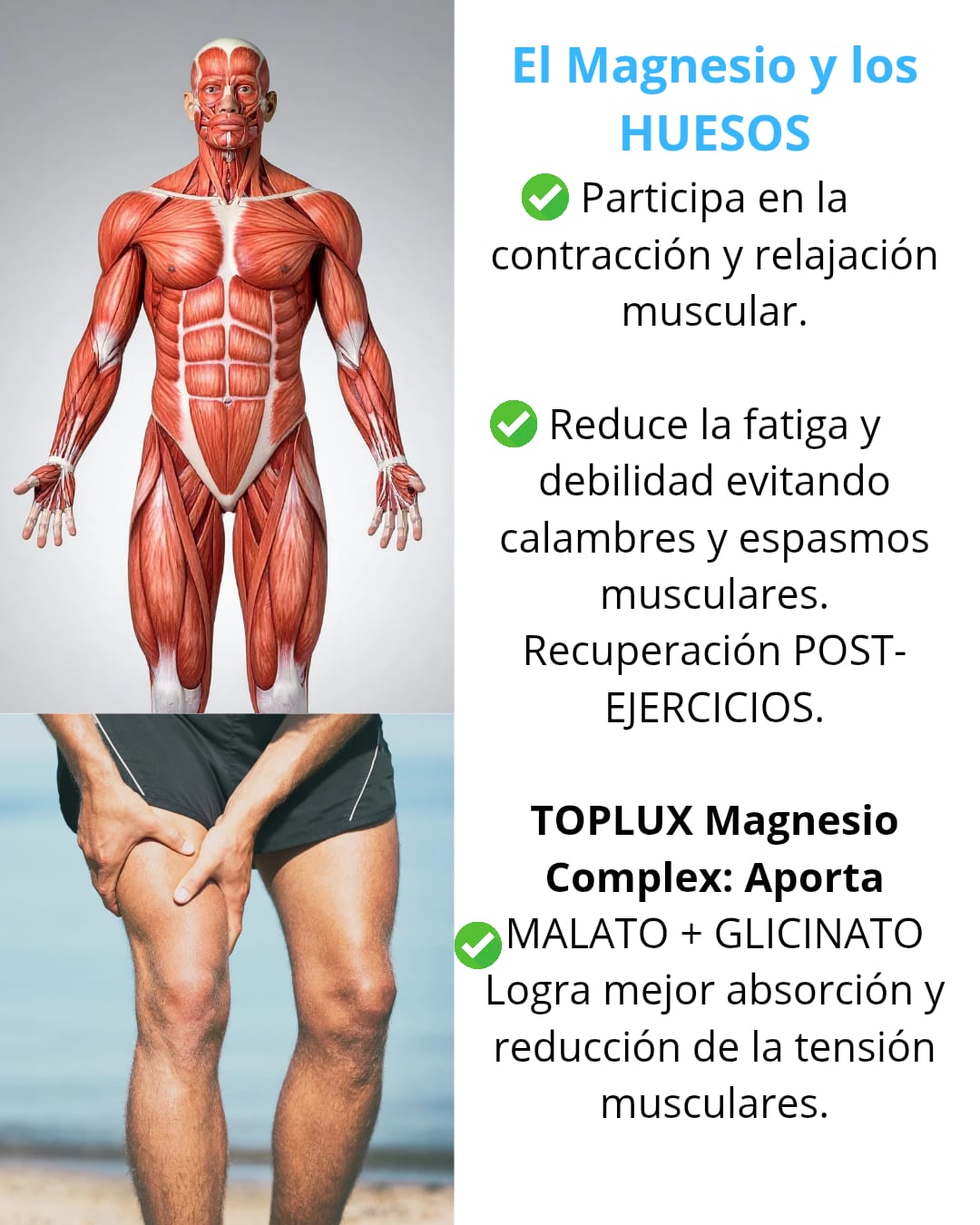 MAGNESIUM COMPLEX - HUESOS, SUEÑO, DIGESTIÓN SANOS +ELEVACION SISTEMA INMUNE